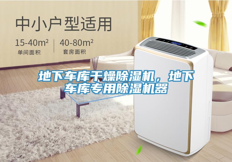 地下車庫幹燥91看片软件大全，地下車庫專用91看片软件大全器