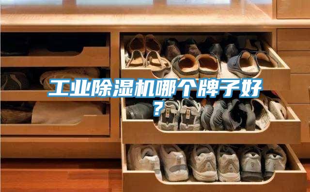 工業91看片软件大全哪個牌子好？