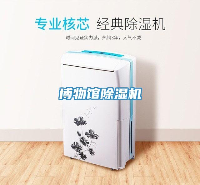 博物館91看片软件大全