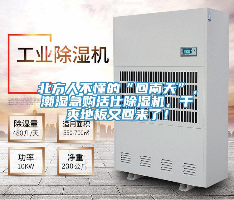 北方人不懂的“回南天”，潮濕急購活仕91看片软件大全，幹爽地板又回來了！