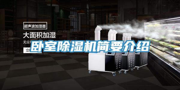 臥室91看片软件大全簡要介紹