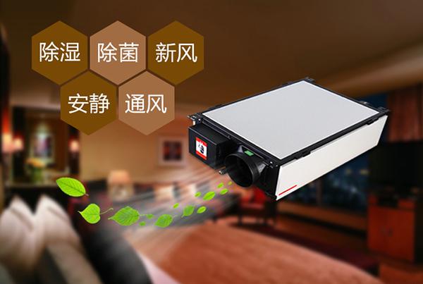 雙十一剛過，雙十二如約而至，濕冷還受得了嗎？