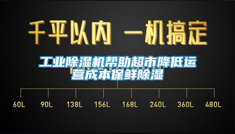 工業91看片软件大全幫助超市降低運營成本保鮮除濕