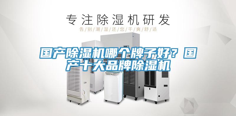國產91看片软件大全哪個牌子好？國產十大品牌91看片软件大全
