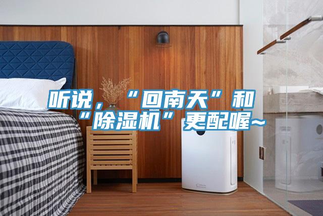 聽說，“回南天”和“91看片软件大全”更配喔~