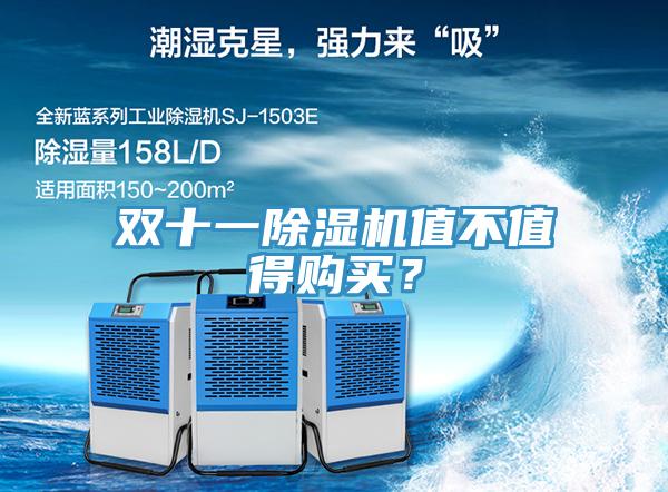 雙十一91看片软件大全值不值得購買？