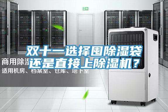 雙十一選擇囤除濕袋還是直接上91看片软件大全？