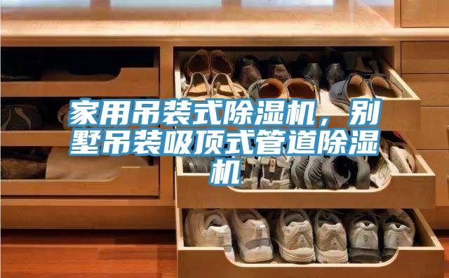 家用吊裝式91看片软件大全，別墅吊裝吸頂式管道91看片软件大全