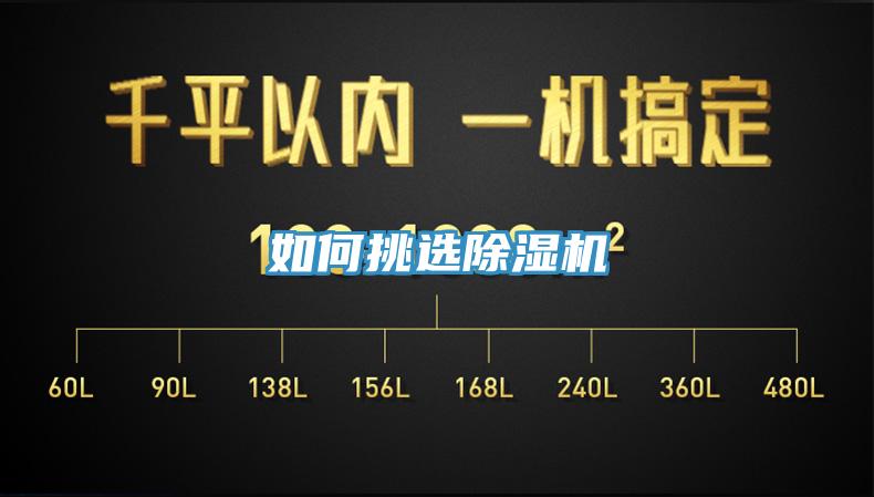 如何挑選91看片软件大全