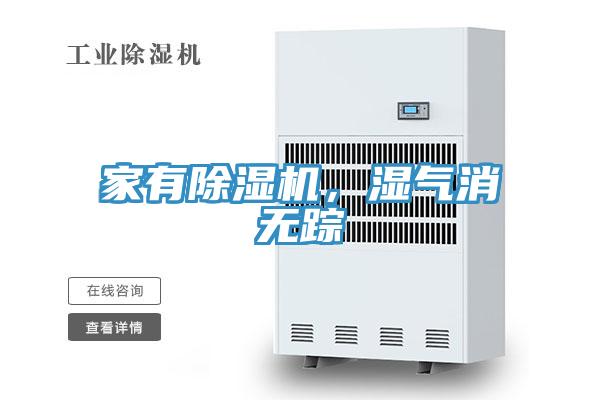家有91看片软件大全，濕氣消無蹤