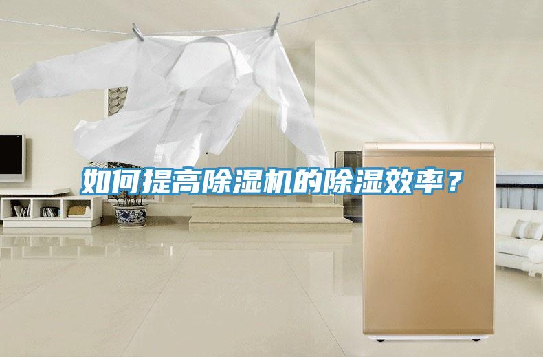 如何提高91看片软件大全的除濕效率？
