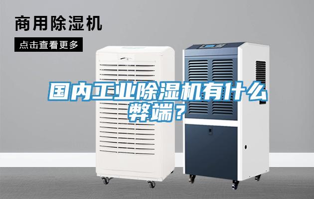 國內工業91看片软件大全有什麽弊端？