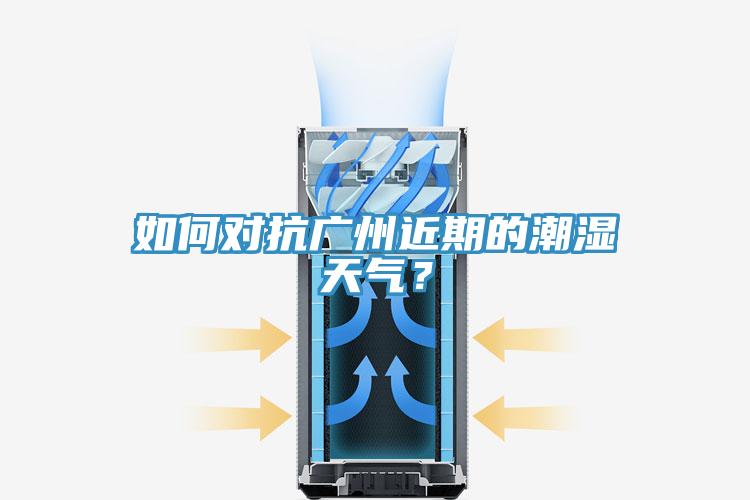 如何對抗廣州近期的潮濕天氣？