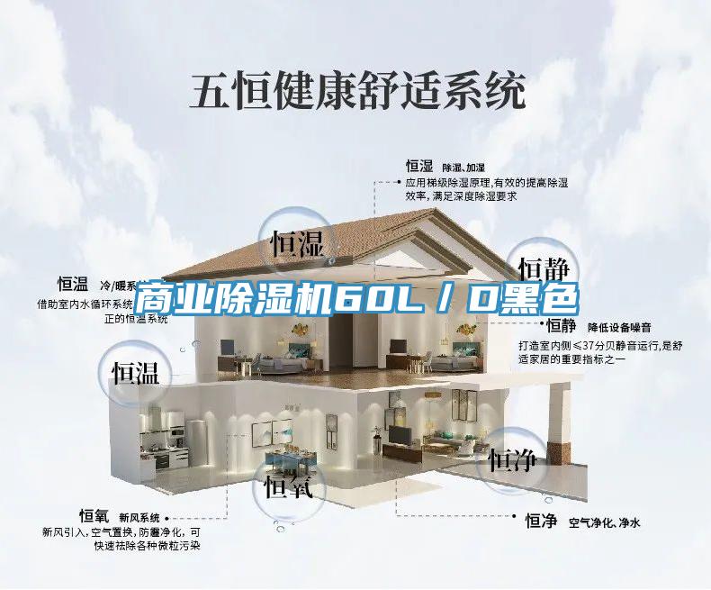 商業91看片软件大全60L／D黑色