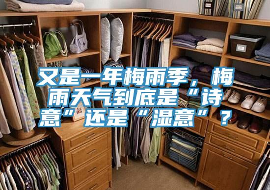 又是一年梅雨季，梅雨天氣到底是“詩意”還是“濕意”？