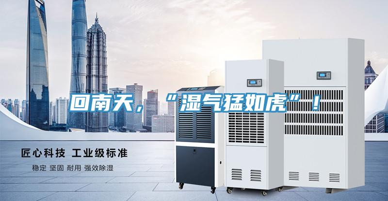 回南天，“濕氣猛如虎”！