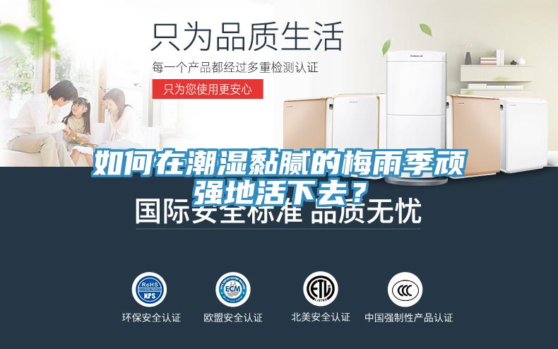 如何在潮濕黏膩的梅雨季頑強地活下去？