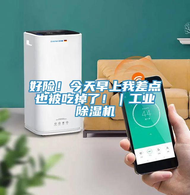 好險！今天早上我差點也被吃掉了！｜工業91看片软件大全