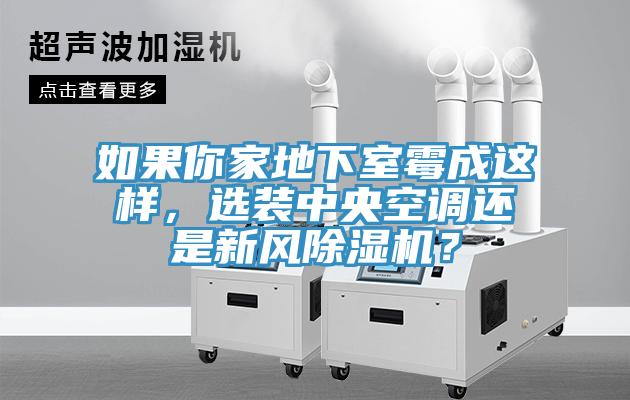 如果你家地下室黴成這樣，選裝中央空調還是新風91看片软件大全？