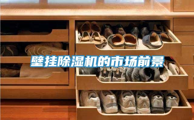 壁掛91看片软件大全的市場前景