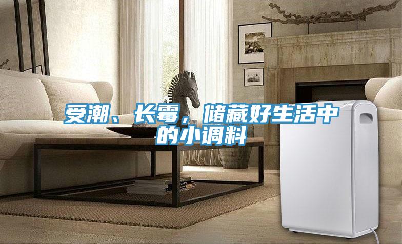 受潮、長黴，儲藏好生活中的小調料