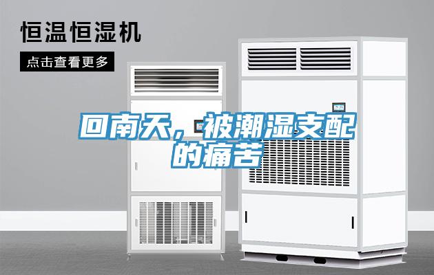 回南天，被潮濕支配的痛苦