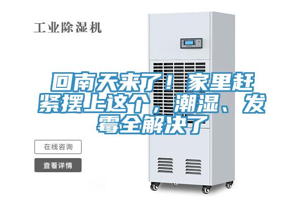 回南天來了！家裏趕緊擺上這個，潮濕、發黴全解決了