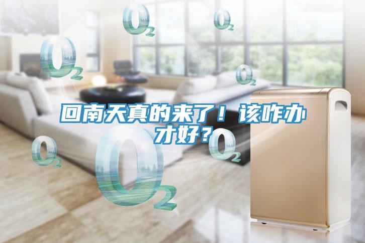 回南天真的來了！該咋辦才好？