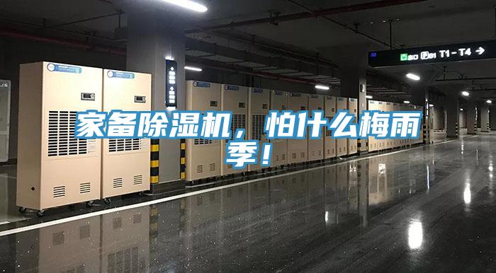 家備91看片软件大全，怕什麽梅雨季！