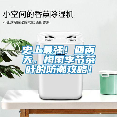 史上最強！回南天、梅雨季節茶葉的防潮攻略！