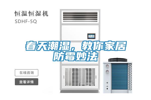 春天潮濕，教你家居防黴妙法