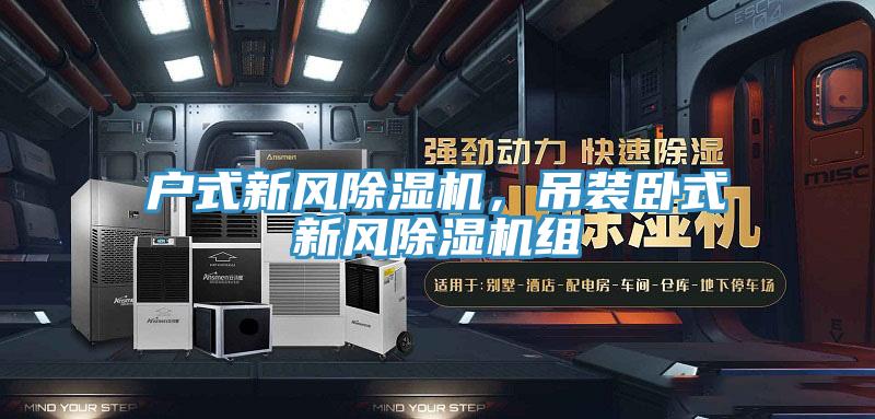 戶式新風91看片软件大全，吊裝臥式新風91看片软件大全組
