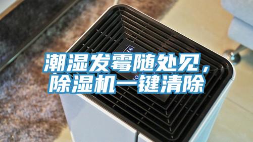 潮濕發黴隨處見，91看片软件大全一鍵清除