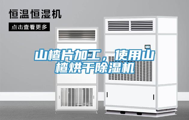 山楂片加工，使用山楂烘幹91看片软件大全