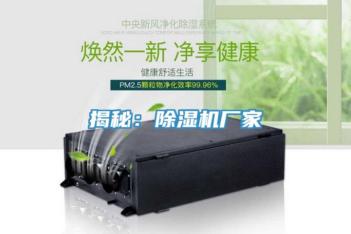 揭秘：91看片软件大全廠家