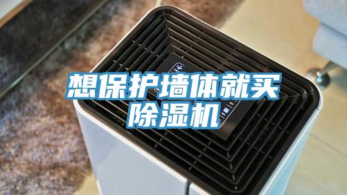 想保護牆體就買91看片软件大全