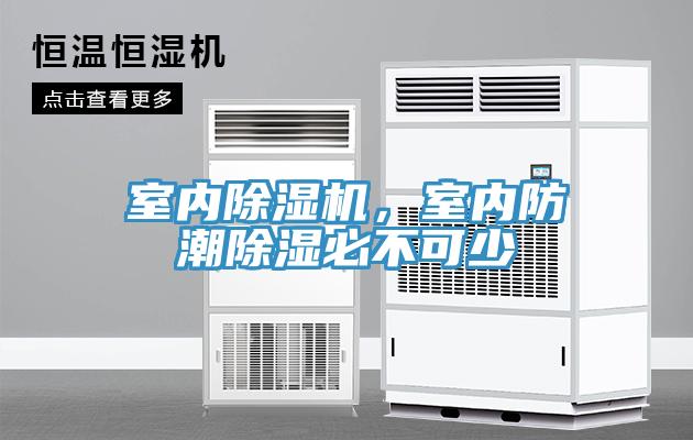 室內91看片软件大全，室內防潮除濕必不可少