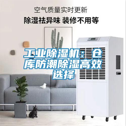 工業91看片软件大全：倉庫防潮除濕高效選擇
