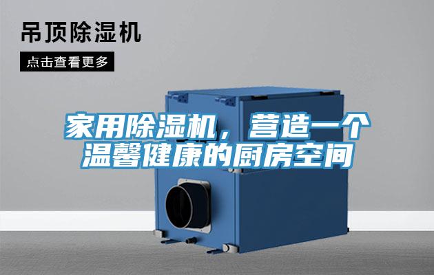 家用91看片软件大全，營造一個溫馨健康的廚房空間