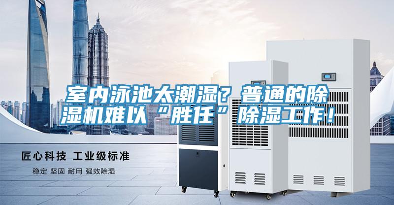室內泳池太潮濕？普通的91看片软件大全難以“勝任”除濕工作！