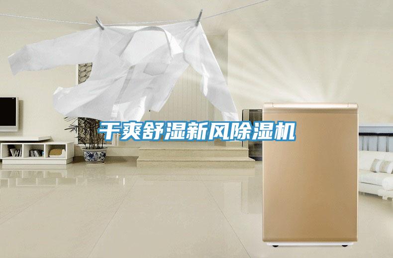 幹爽舒濕新風91看片软件大全