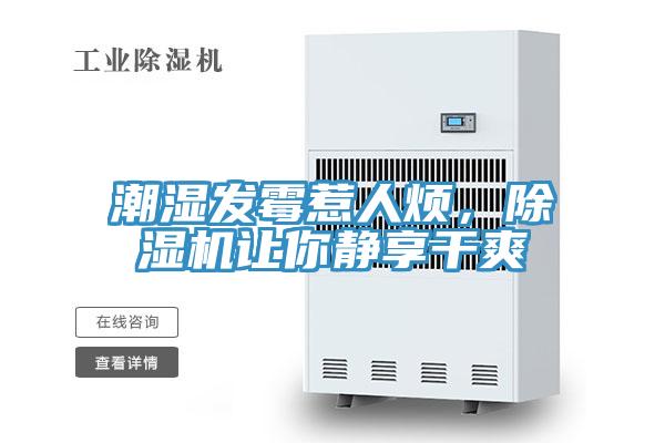 潮濕發黴惹人煩，91看片软件大全讓你靜享幹爽