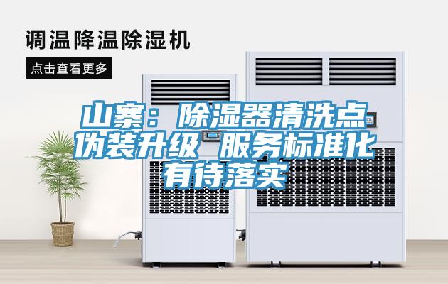 山寨：除濕器清洗點偽裝升級 服務標準化有待落實