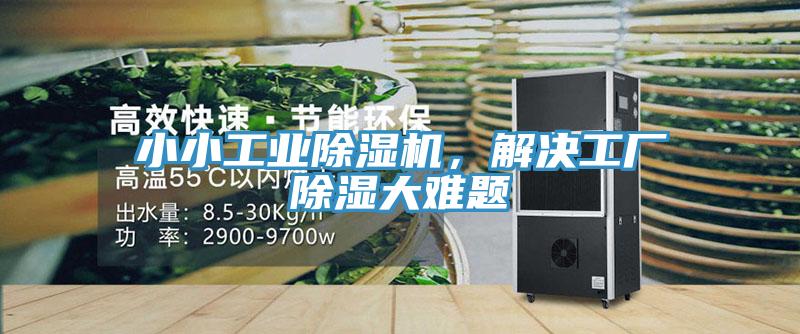 小小工業91看片软件大全，解決工廠除濕大難題