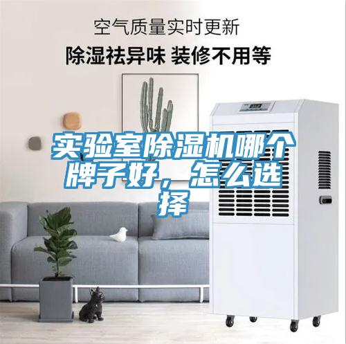實驗室91看片软件大全哪個牌子好，怎麽選擇
