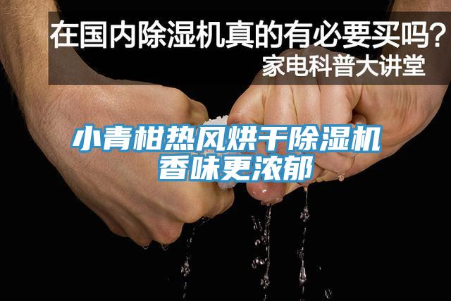 小青柑熱風烘幹91看片软件大全 香味更濃鬱