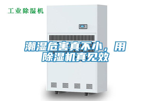 潮濕危害真不小，用91看片软件大全真見效