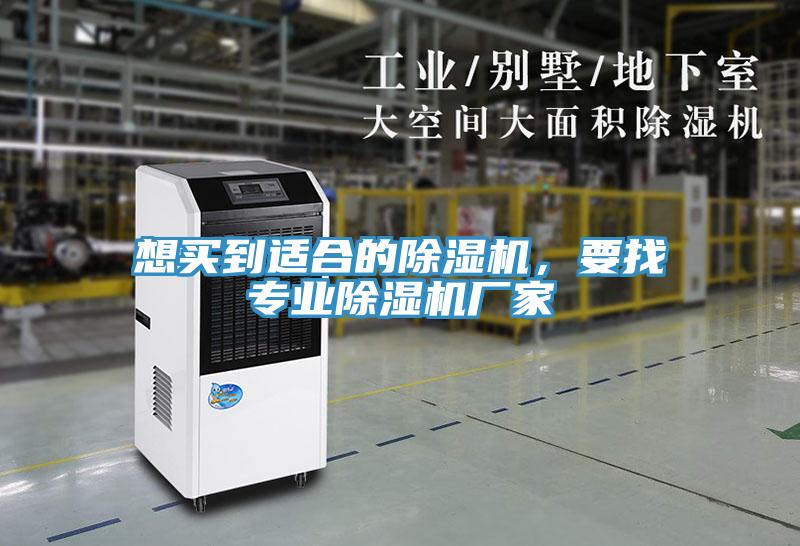 想買到適合的91看片软件大全，要找專業91看片软件大全廠家