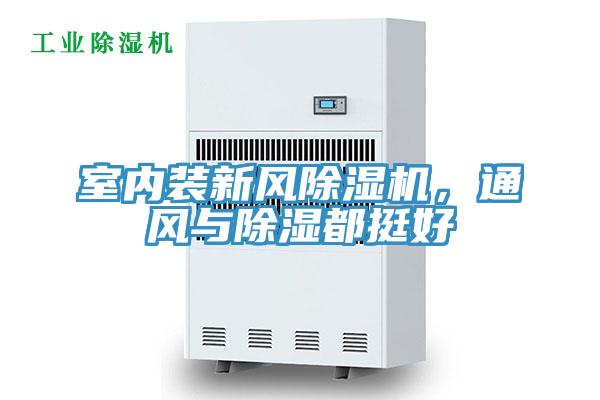 室內裝新風91看片软件大全，通風與除濕都挺好