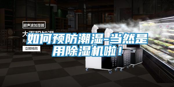 如何預防潮濕-當然是用91看片软件大全啦！